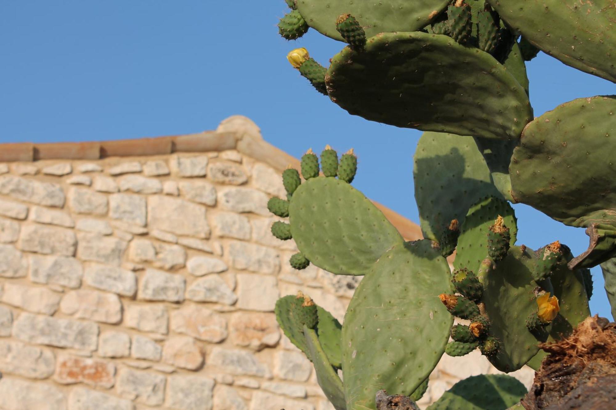 Tenuta Zannafondo Donnafugata Exterior foto