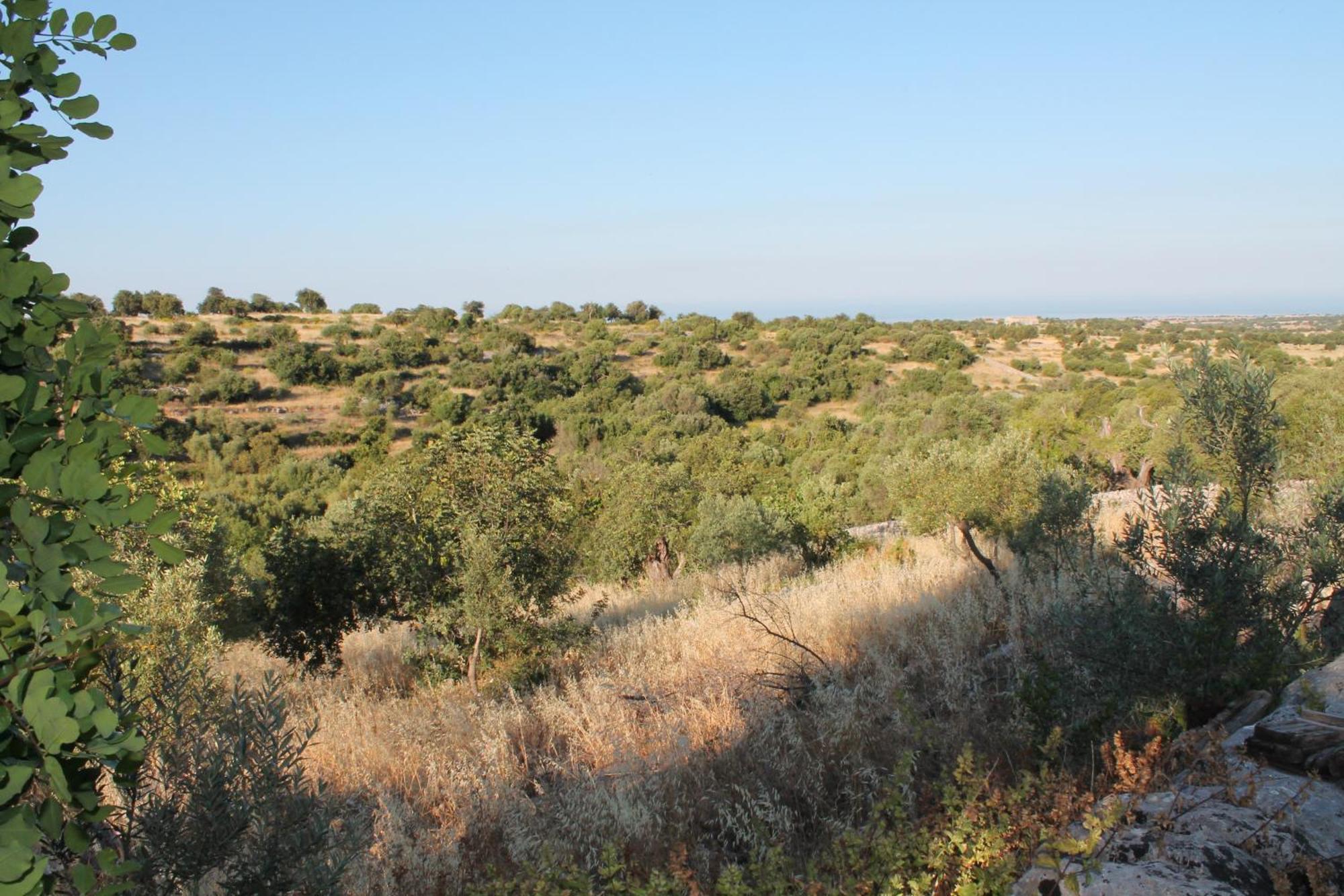 Tenuta Zannafondo Donnafugata Exterior foto